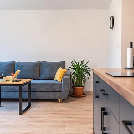 Apartment Krzywa 8 *