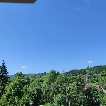 Krzywa 8 *